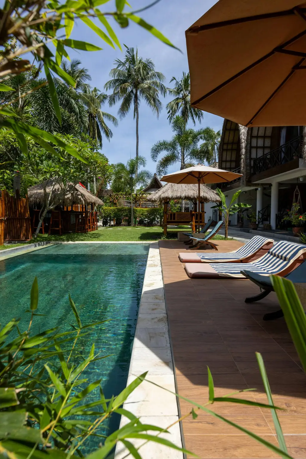 Resort pool edged by timber decking, sun lounges and palms, seen through bamboo leaves
